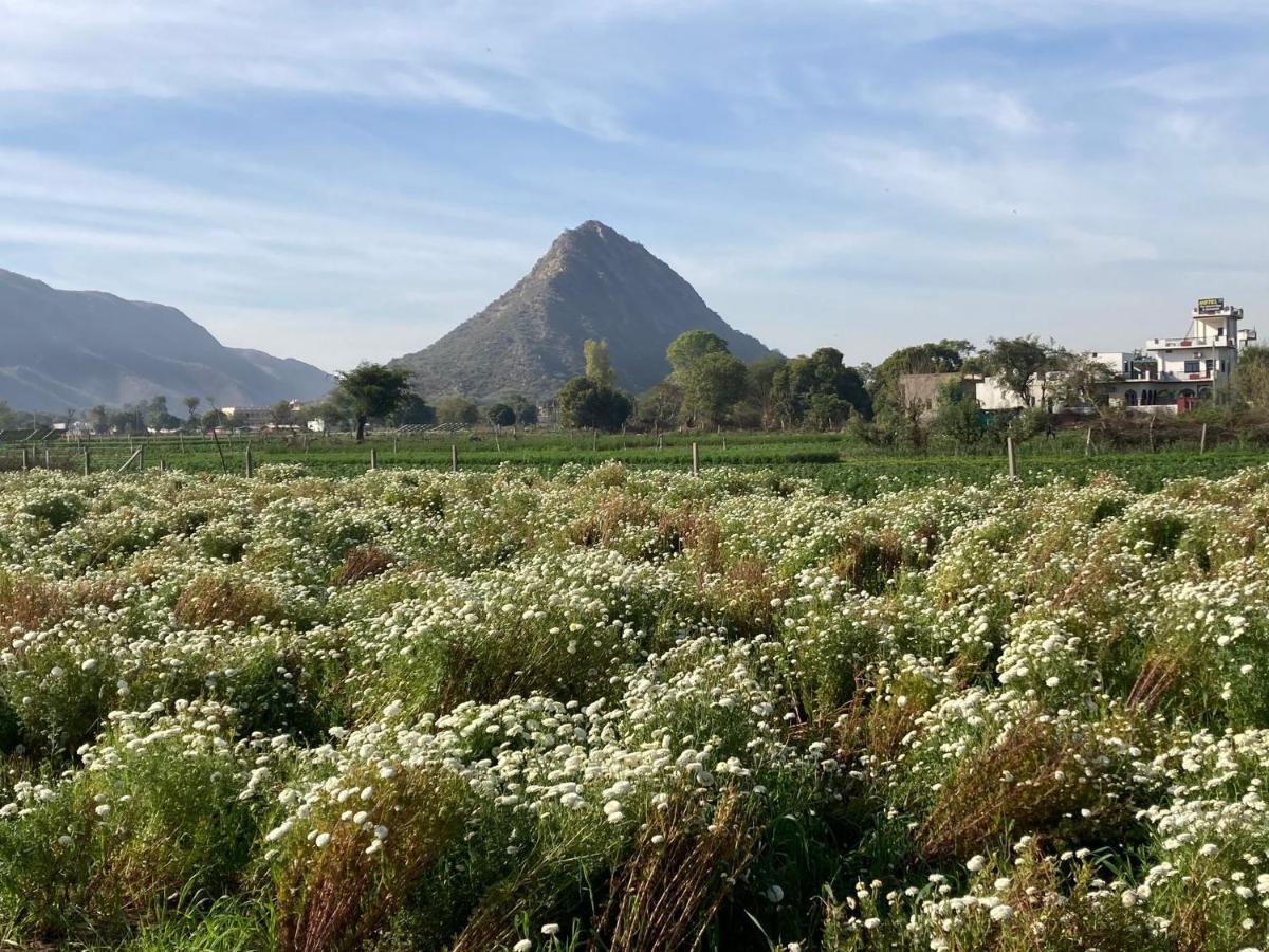 Hotel The Pushkar Flower Luaran gambar