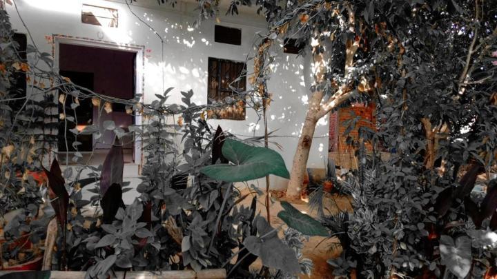 Hotel The Pushkar Flower Luaran gambar