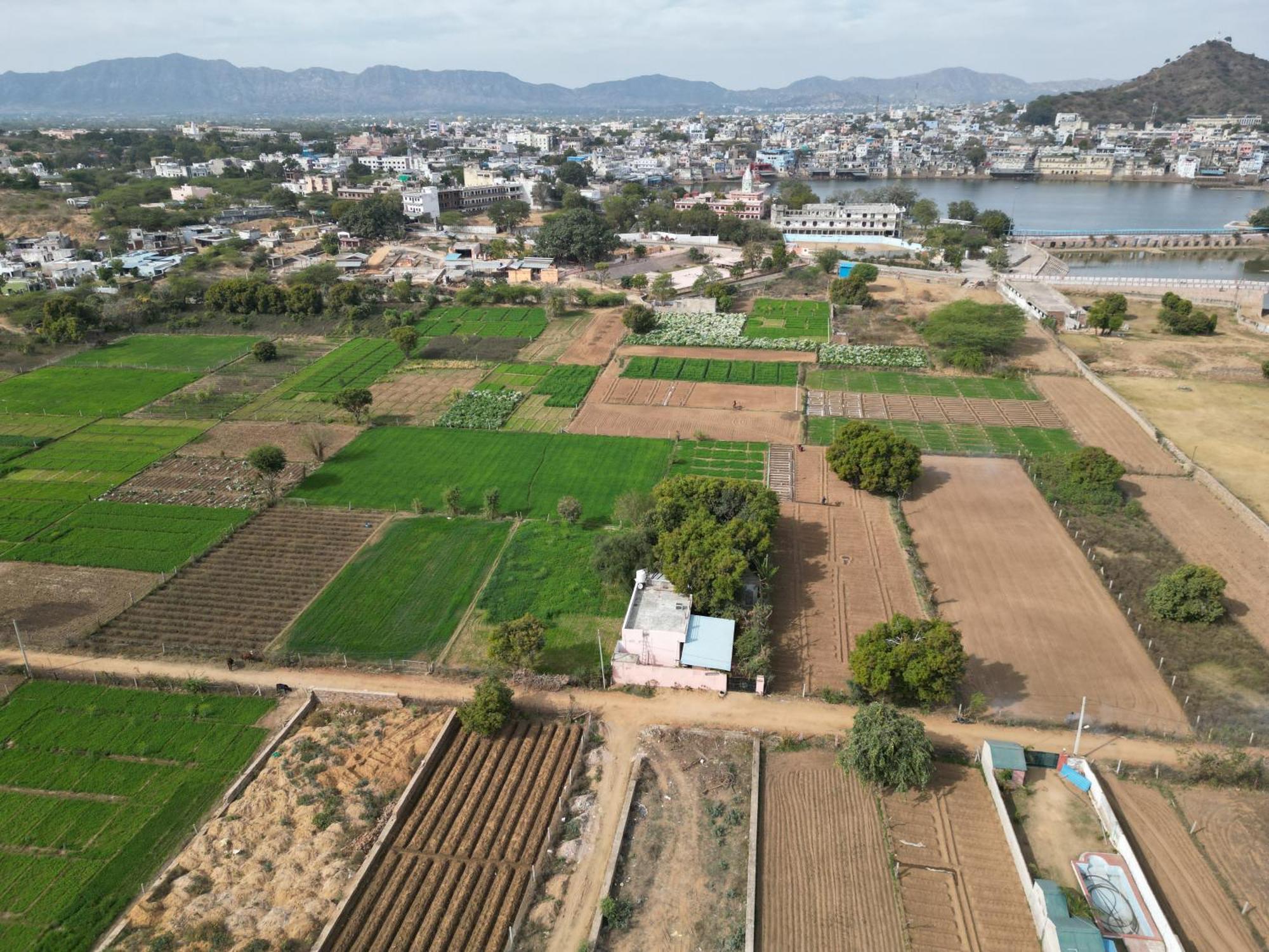Hotel The Pushkar Flower Luaran gambar